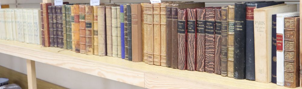 A quantity of leather and cloth-bound books in French,